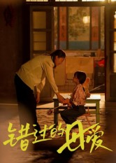【错过的母爱】32集免费在线短剧全集观