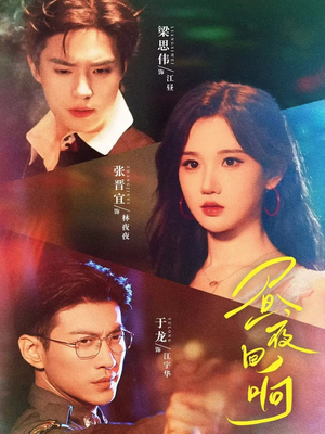 【昼夜回响】76集短剧免费高清在线看