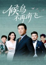 【候鸟不再南飞】80集短剧免费在线追看