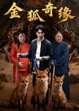 【金狐奇缘】42集短剧免费全集一键观看
