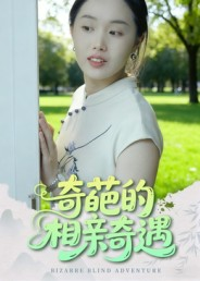奇葩的相亲奇遇（17集）最火的短剧