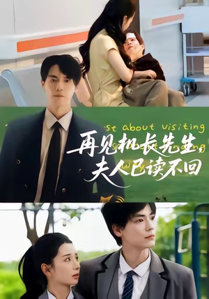 再见机长先生夫人已读不回（62集）精彩短剧追不停