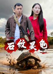 石纹灵龟（30集）每天短剧分享