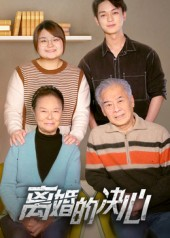 离婚的决心(53集) 离婚的决心(53集)剧情简介