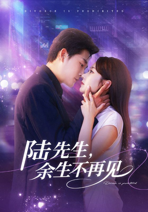 陆先生，余生不再见（88集）火爆短剧推荐