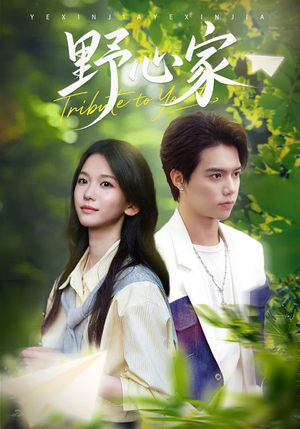 野心家（65集）百度网盘资源