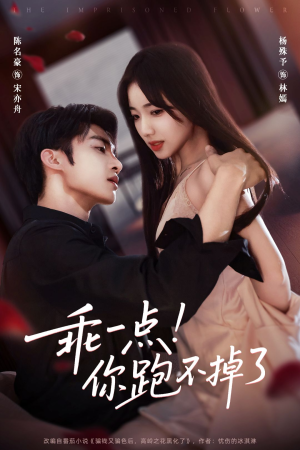 乖一点!你跑不掉了(80集) 乖一点!你跑不掉了(80集)追短剧太上头了