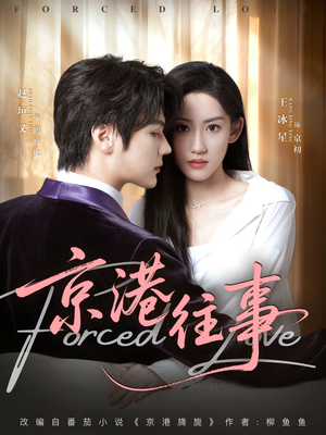 京港往事(80集) 京港往事(80集)好看短剧又来了