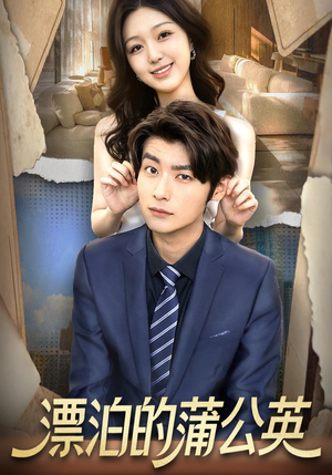 漂泊的蒲公英(60集) 漂泊的蒲公英(60集)我全都看完了