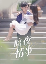 暗夜情事(100集) 暗夜情事(100集)不用花钱看全剧