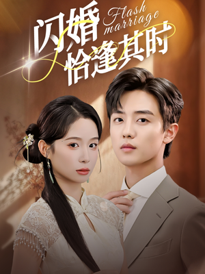 闪婚恰逢其时（53集）短剧全集免费看