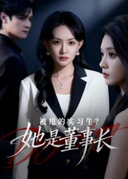 【被甩的实习生？她是董事长！】59集短剧免费在线高清观