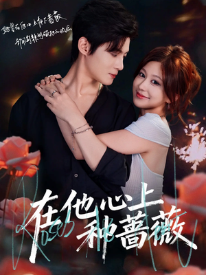 【在他心上种蔷薇】81集在线短剧免费观看全集