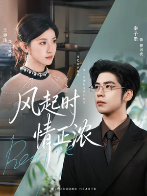 【风起时情正浓】79集短剧免费在线速看