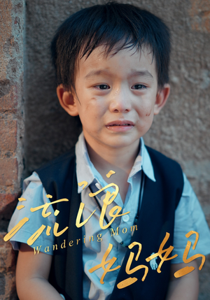 【流浪妈妈】30集在线免费看短剧完整集