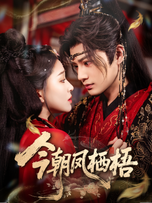 【今朝凤栖梧】68集短剧免费在线全集观影