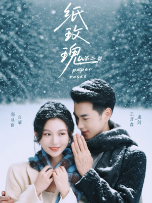 【纸玫瑰第二部】80集短剧免费在线赏看