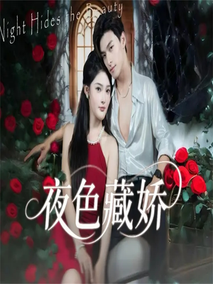 【夜色藏娇】65集短剧在线免费观看全集