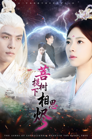 【菩提树下相思烬】63集免费短剧全集畅快观看
