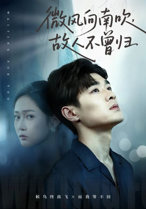 微风向南吹,故人不曾归(72集) 微风向南吹,故人不曾归(72集)爆款热门短剧