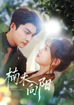 楠木向阳(70集) 楠木向阳(70集)精彩短剧分享。