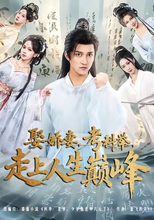 娶娇妻,考科举,走上人生巅峰(80集) 娶娇妻,考科举,走上人生巅峰(80集)短剧追到爽