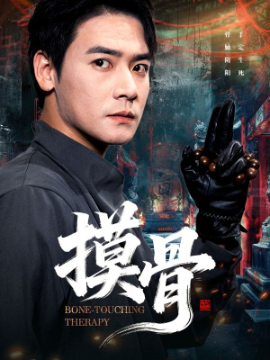 【摸骨】74集在线免费短剧全集观