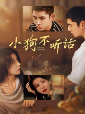 【小狗不听话】70集免费短剧全集随意看