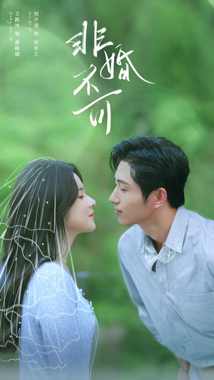 【非婚不可】65集高清短剧免费在线看全集