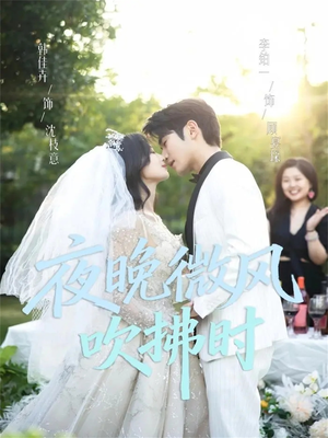 【夜晚微风吹拂时】61集短剧在线免费全集观看