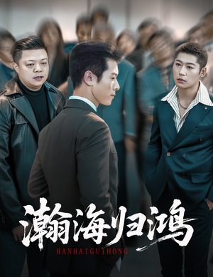 瀚海归鸿(74集) 瀚海归鸿(74集)免费短剧资源