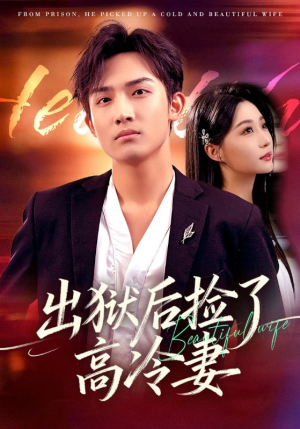 【出狱后捡了高冷妻】71集短剧免费高清在线看