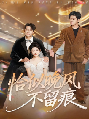 【恰似晚风不留痕】61集短剧免费高清在线看