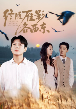 【终随雁影各西东】86集高清短剧在线收看