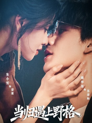 当归遇上野格(66集) 当归遇上野格(66集)免费全集短剧