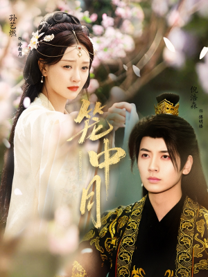 笼中月(65集) 笼中月(65集)真的好看吗