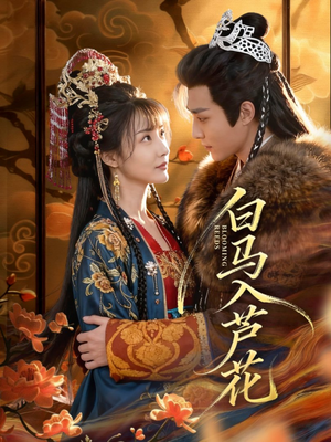 【白马入芦花】59集短剧免费高清在线看