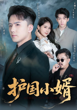 【护国小婿】60集优质短剧免费在线赏