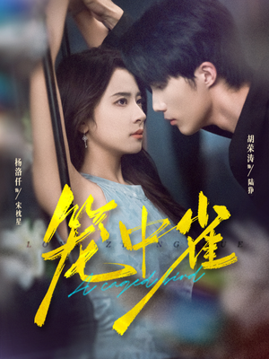 笼中雀(65集) 笼中雀(65集)让你一口气看完