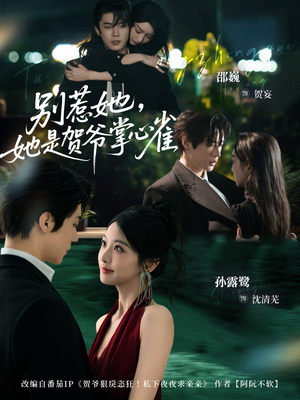 别惹她,她是贺爷掌心雀(69集) 别惹她,她是贺爷掌心雀(69集)男主角是谁