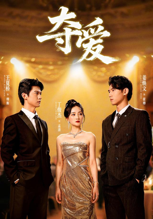 夺爱(55集) 夺爱(55集)在线观看完整版