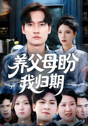 养父母盼我归期(72集) 养父母盼我归期(72集)免费短剧大全