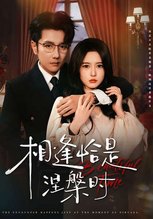 相逢恰是涅槃时(63集) 相逢恰是涅槃时(63集)哪个短剧网能看