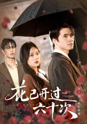 情敌交手她选择躺赢（72集）免费看