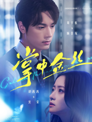 长姐她竟是隐藏大佬(60集) 长姐她竟是隐藏大佬(60集)不用花钱看全剧