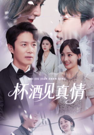 杯酒见真情（68集）精彩热门短剧