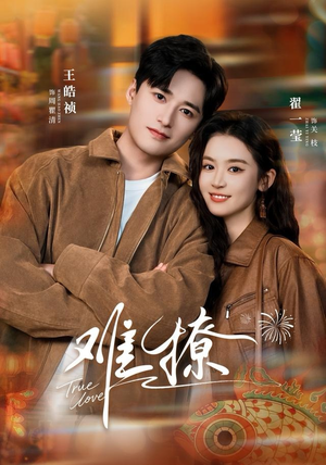 难撩（100集）抢先看热门短剧