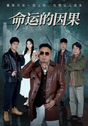 命运的因果（60集）在哪个平台能看