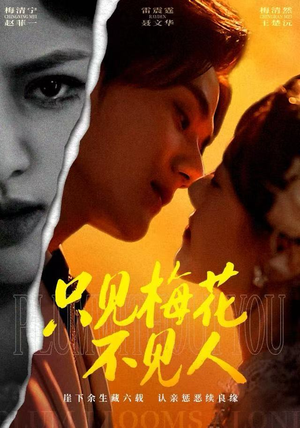 只见梅花不见人（63集）超甜短剧分享