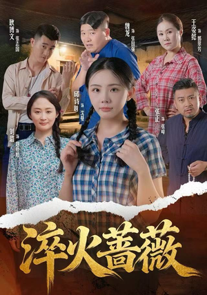 淬火蔷薇（50集）短剧全集大结局